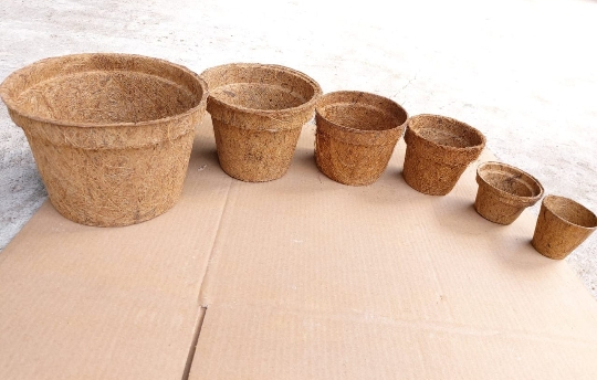 Coir Seeds Cups Price / Coco Coir pots